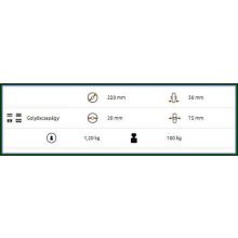 PNE 220/20G / alapkerék,  levegős, fémfelni, golyóscsapágy, d=20 mm